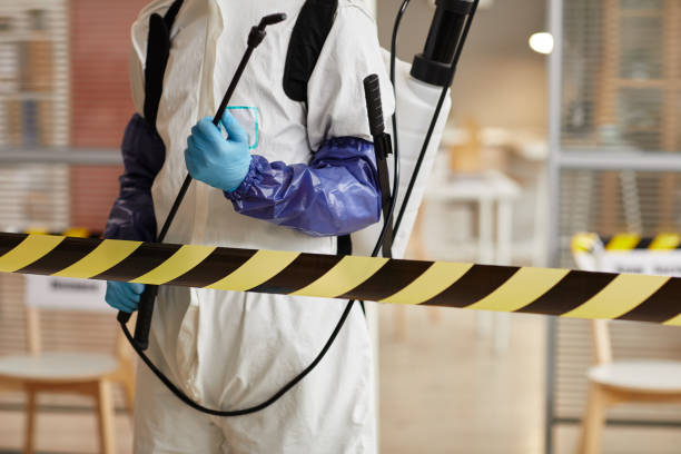 Professional Blood Cleanup technician working in Twin Peaks, CA